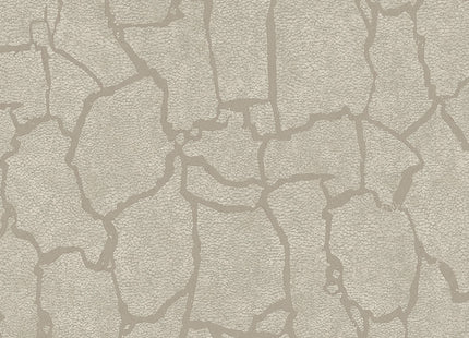 Skin 300531