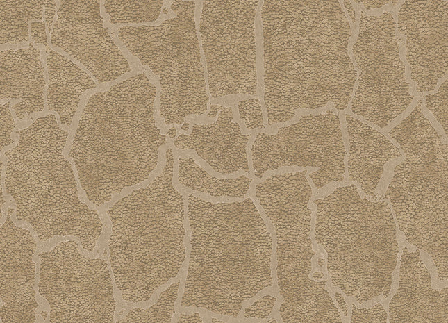 Skin 300533