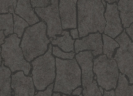 Skin 300534