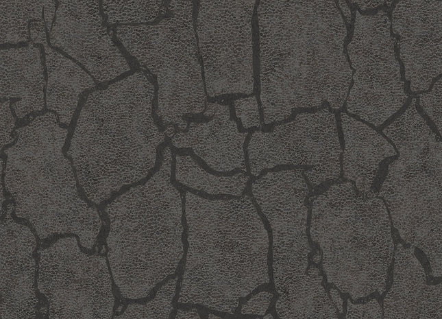 Skin 300534