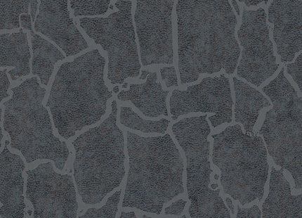 Skin 300535