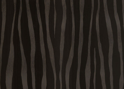 Skin 300551