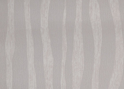 Skin 300552