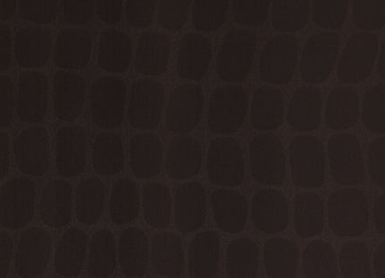 Skin 300562