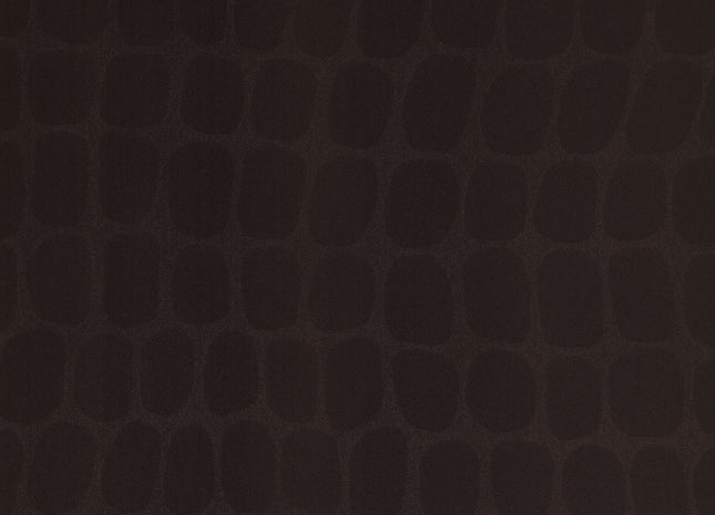 Skin 300562
