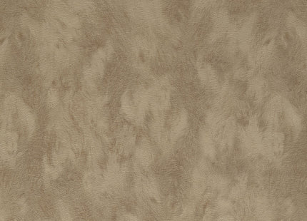 Skin 300581