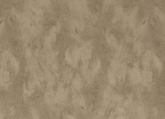 Skin 300581