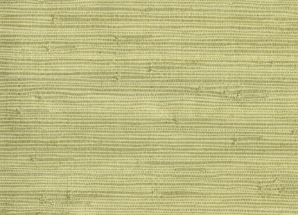 Natural Wallcoverings III 303502