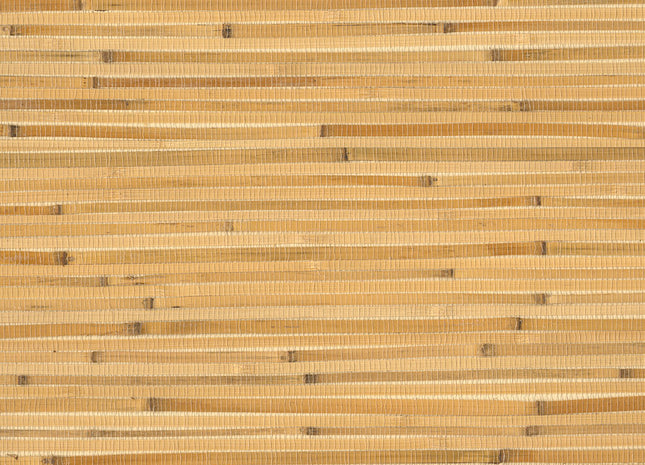 Natural Wallcoverings III 303534