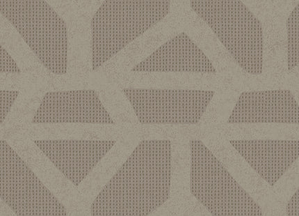 Artifact 312403