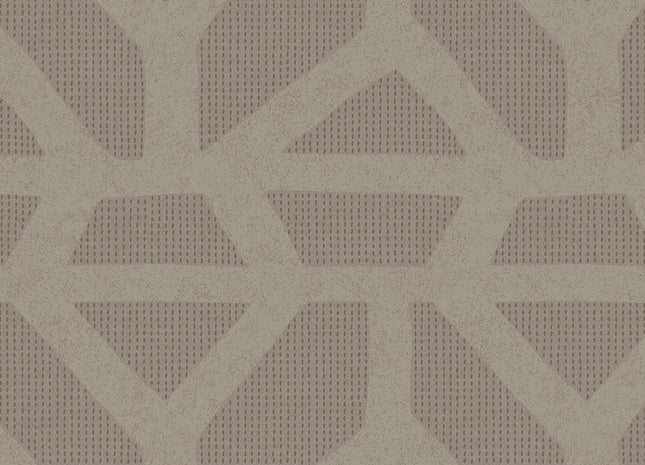 Artifact 312403