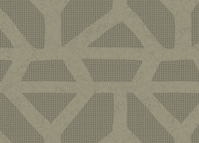 Artifact 312404