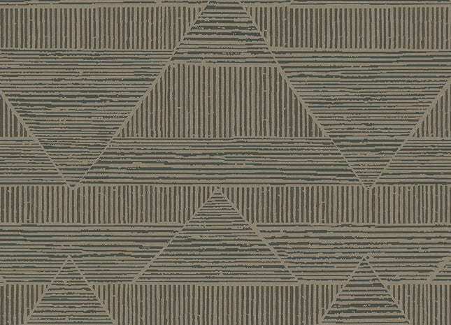 Artifact 312413