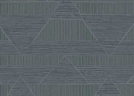 Artifact 312414