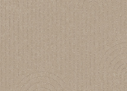 Artifact 312432