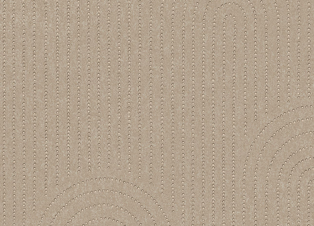 Artifact 312432