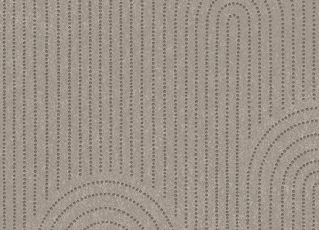 Artifact 312437