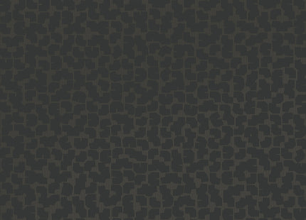 Artifact 312445