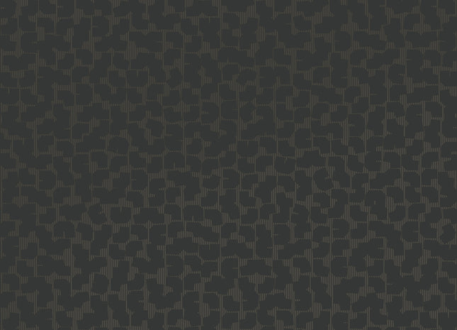 Artifact 312445