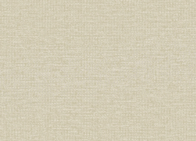 Artifact 312451