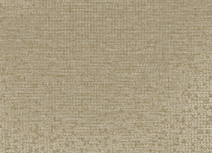 Artifact 312452