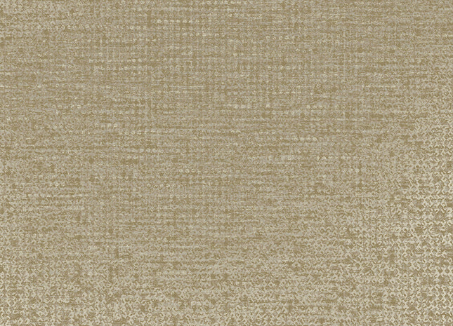 Artifact 312452