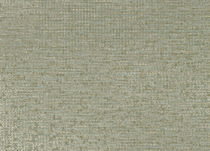 Artifact 312454