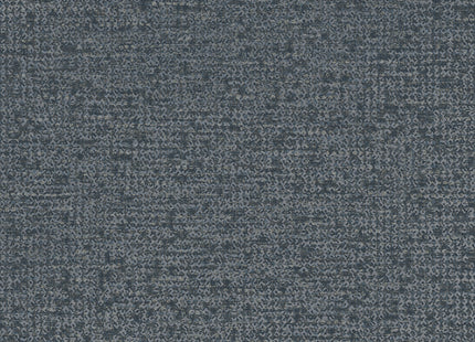 Artifact 312455