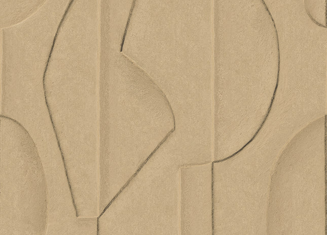 Artifact 312481