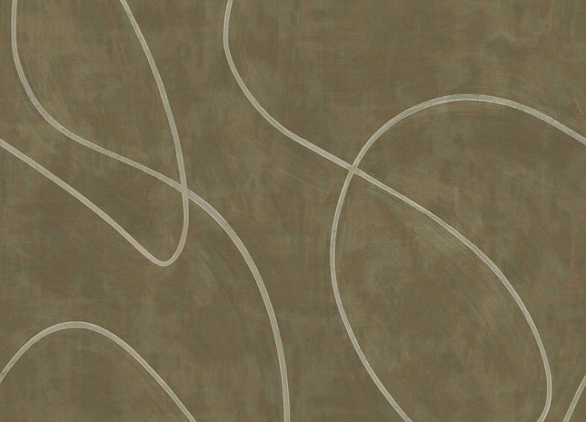 Artifact 312486
