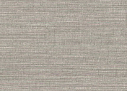 Canvas 313500