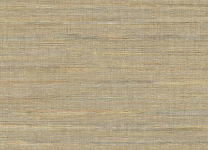 Canvas 313501