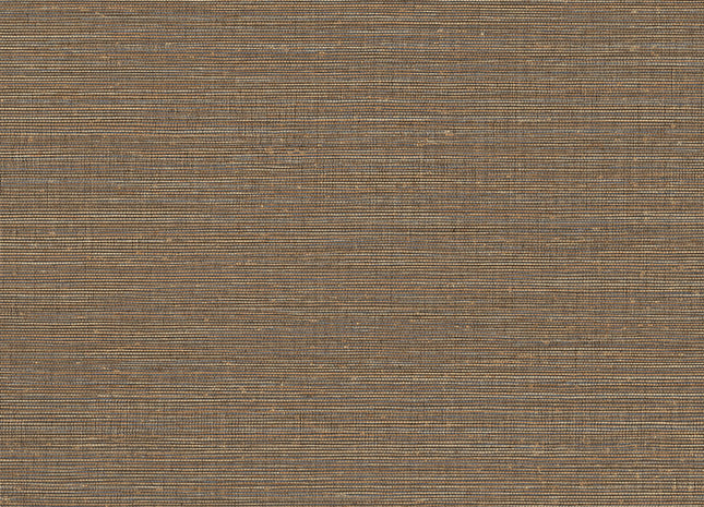 Canvas 313503