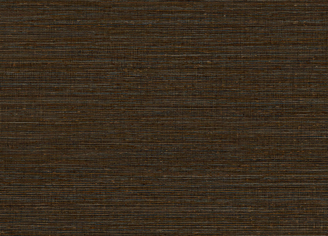 Canvas 313504