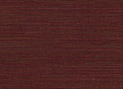 Canvas 313505