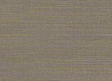 Canvas 313506