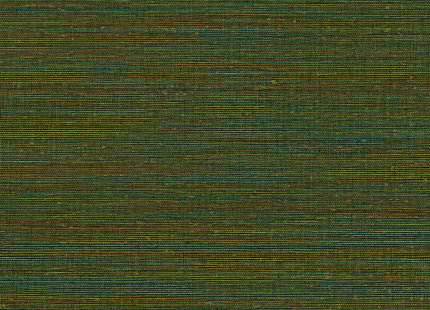 Canvas 313509