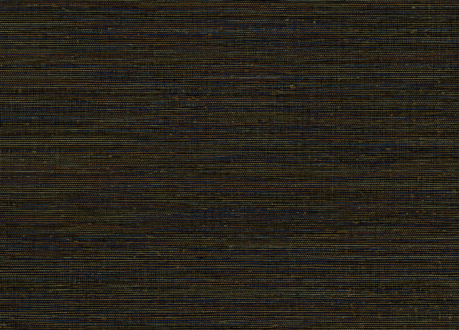 Canvas 313510