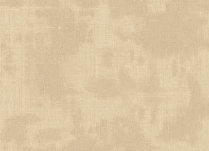 Canvas 313520