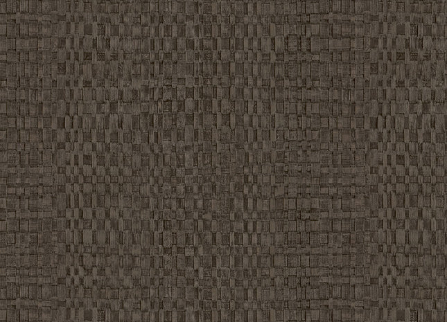 Canvas 313531