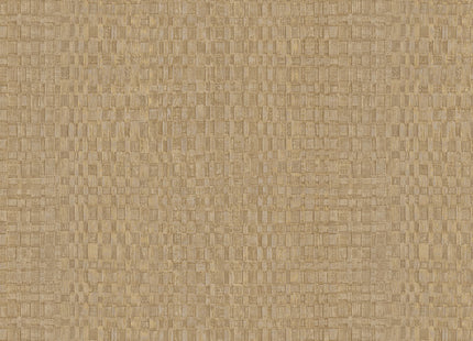 Canvas 313534