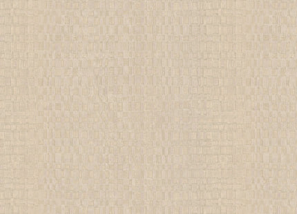 Canvas 313535