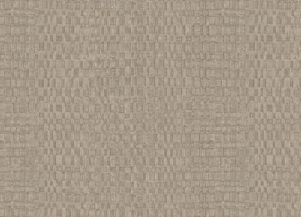 Canvas 313536