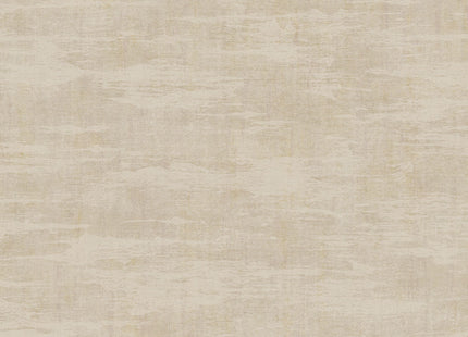 Canvas 313542