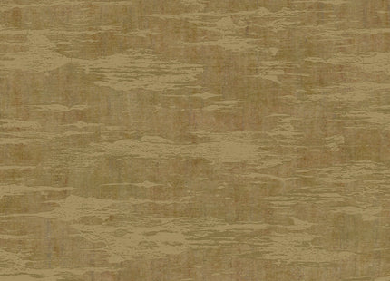 Canvas 313543