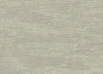 Canvas 313545