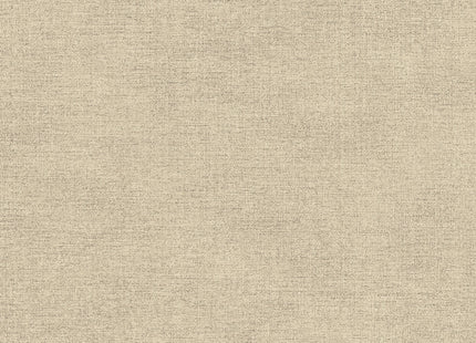 Canvas 313550