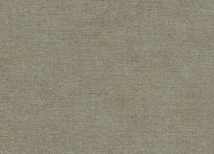 Canvas 313555