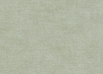 Canvas 313557