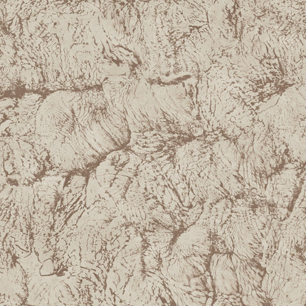 Sepia B00202